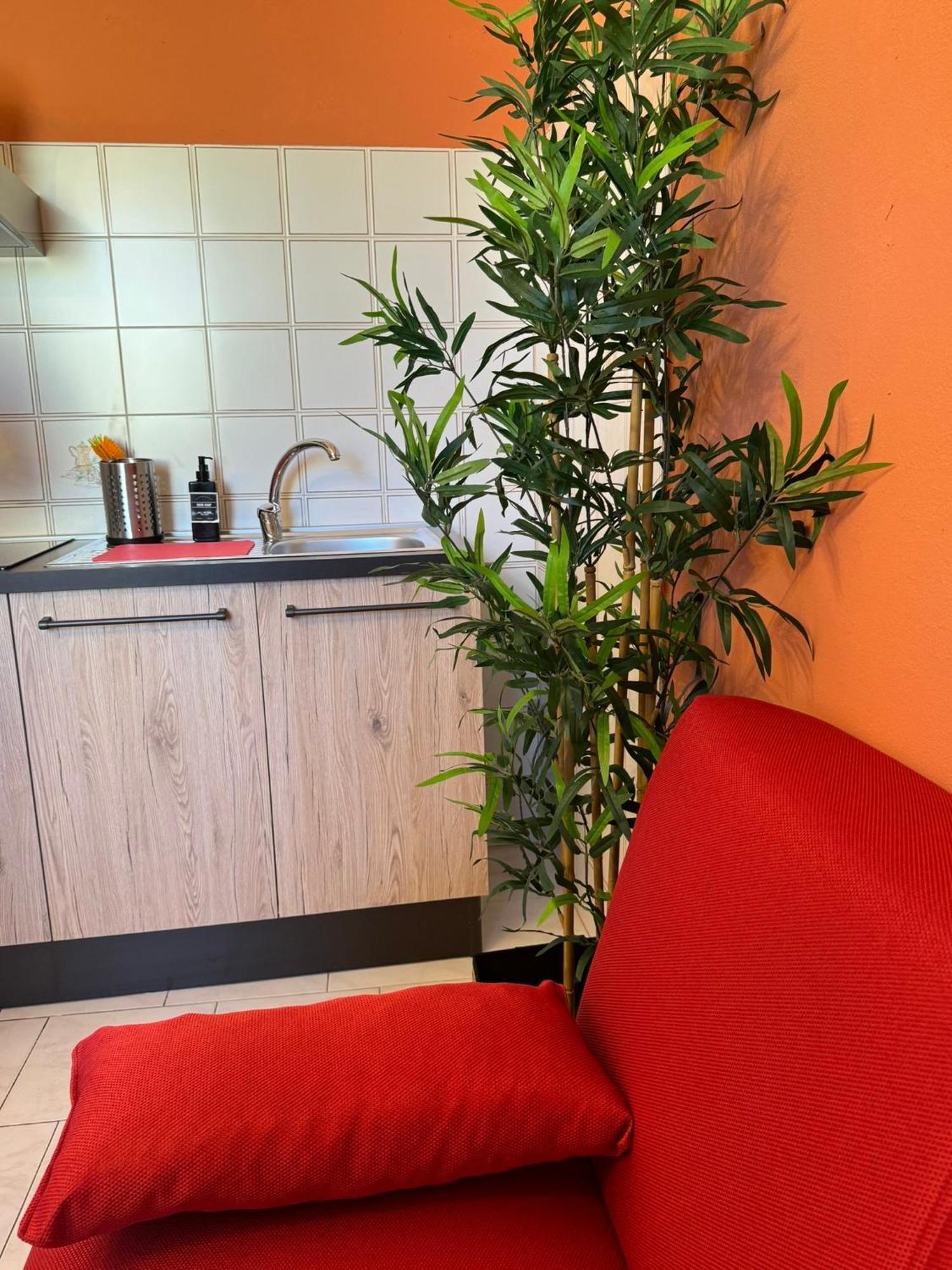 Colben Tuscany Home - Il Mare Dalla Finestra Nell'Atmosfera Tipica Livornese Livorno Buitenkant foto
